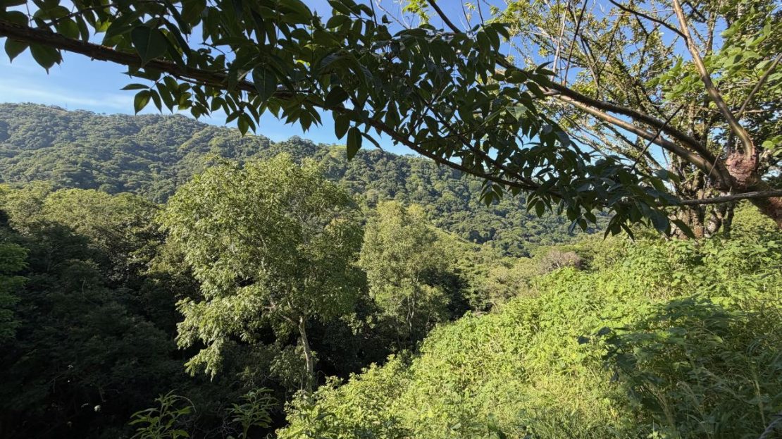 9585m2 (2.36 acres) with fruit trees and views 20 minutes from Atenas