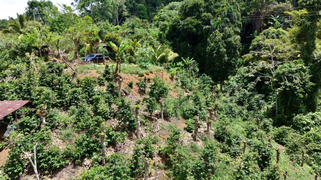 392 m² Mountain View Land with Utilities in Platanares