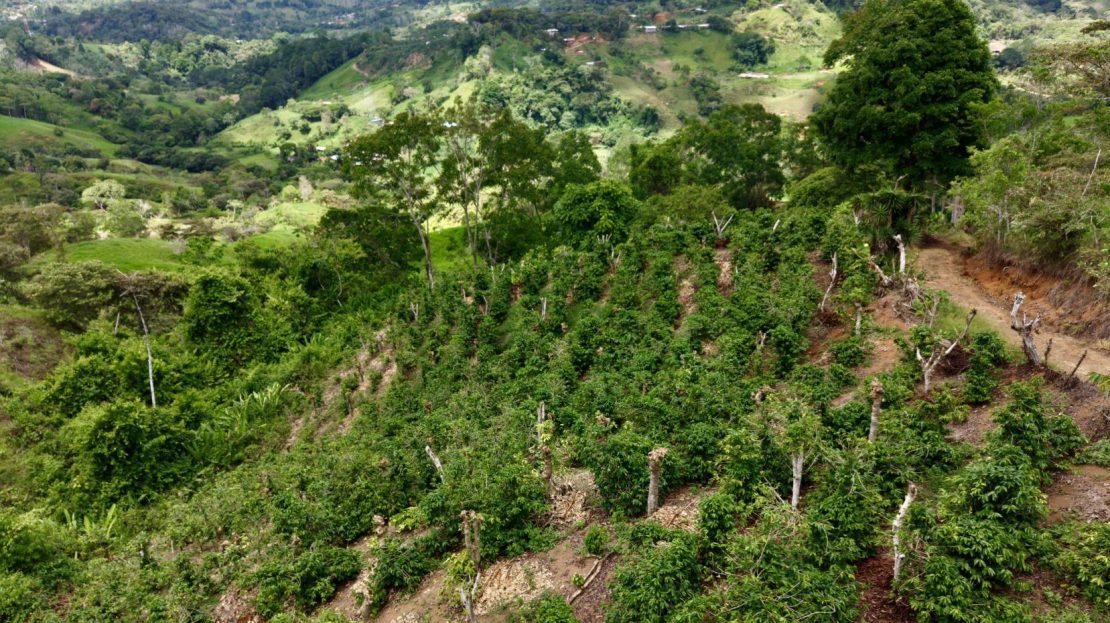 Costa Rica Real Estate