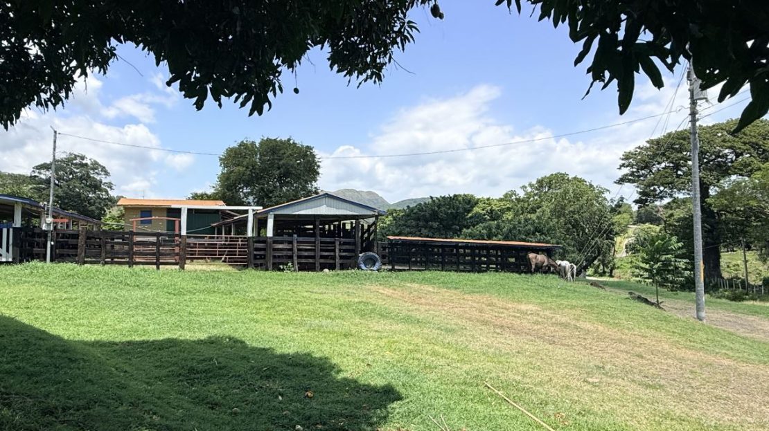 Costa Rica Real Estate