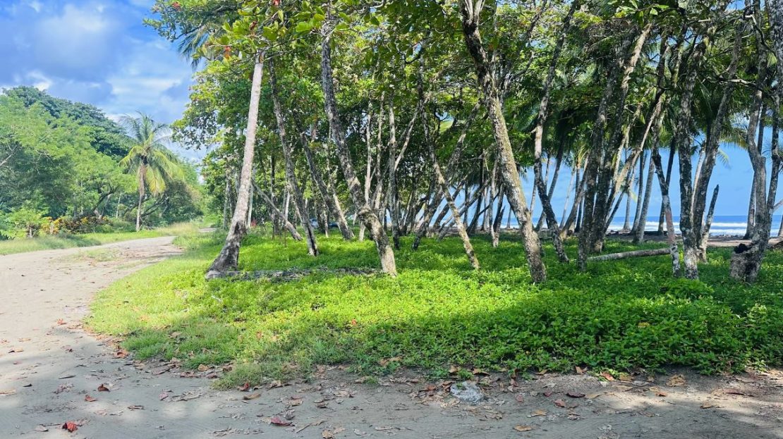 Costa Rica Real Estate