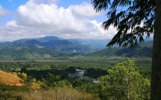 Lomas del Rey – Premium Condominium of Lots