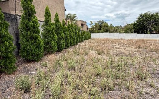 Unique opportunity in the heart of Santa Ana Centro #2