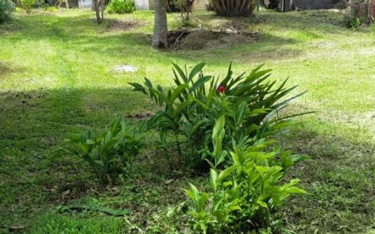 Lot with Commercial and Residential Potential in San Rafael de Heredia