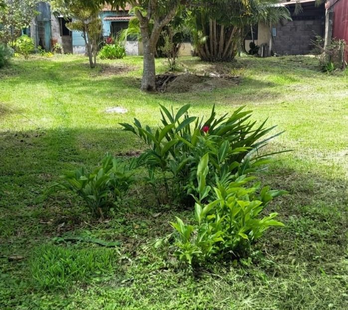 San Rafael