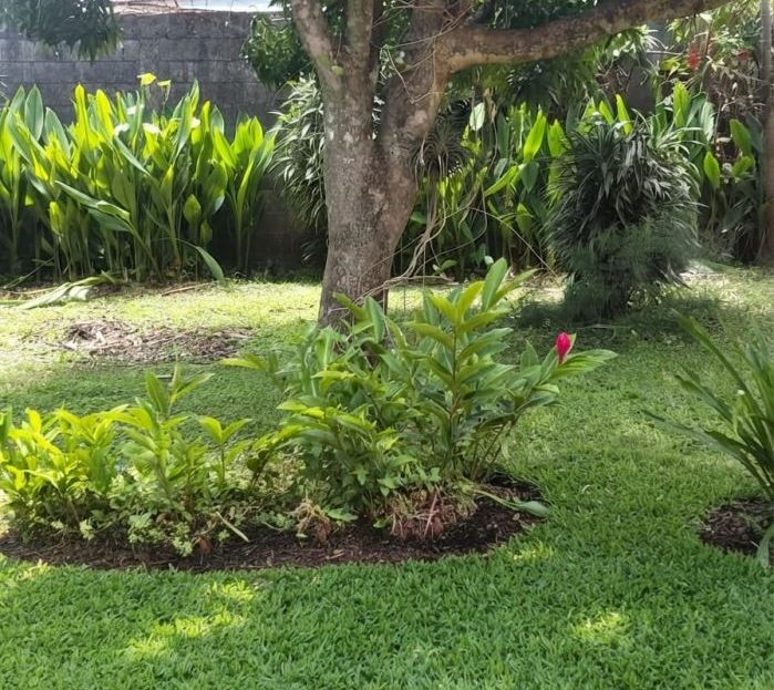 Lot with Commercial and Residential Potential in San Rafael de Heredia