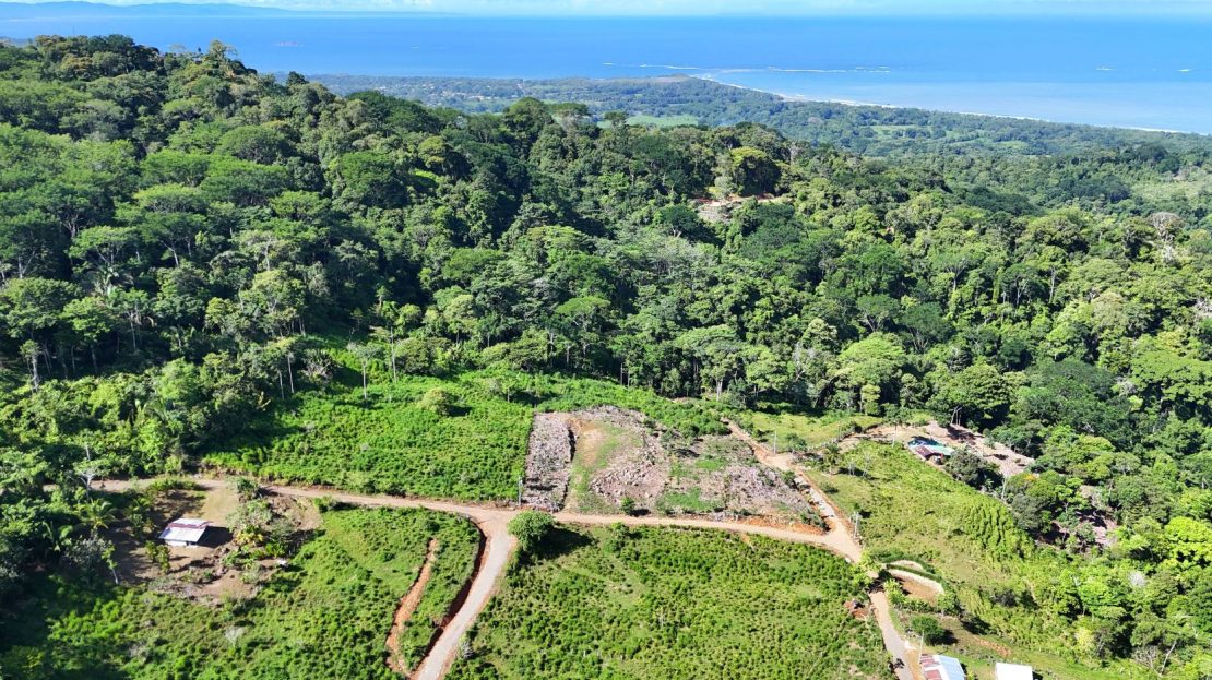 uvita