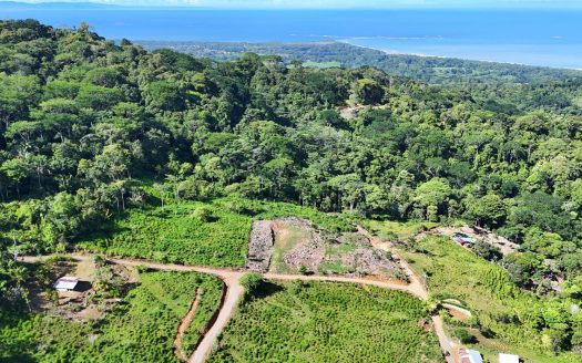 Land for Sale in Uvita Costa Rica | 3.1 Ha Eco-Wellness near Kurá Hotel