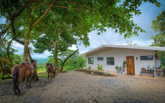 Beautiful Country Home for sale with Expansive Land in Venado, La Fortuna