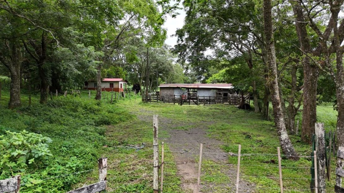 Costa Rica Real Estate