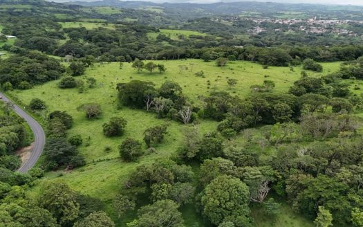 185.93-HECTARE INVESTMENT PROPERTY IN TILARÁN, GUANACASTE