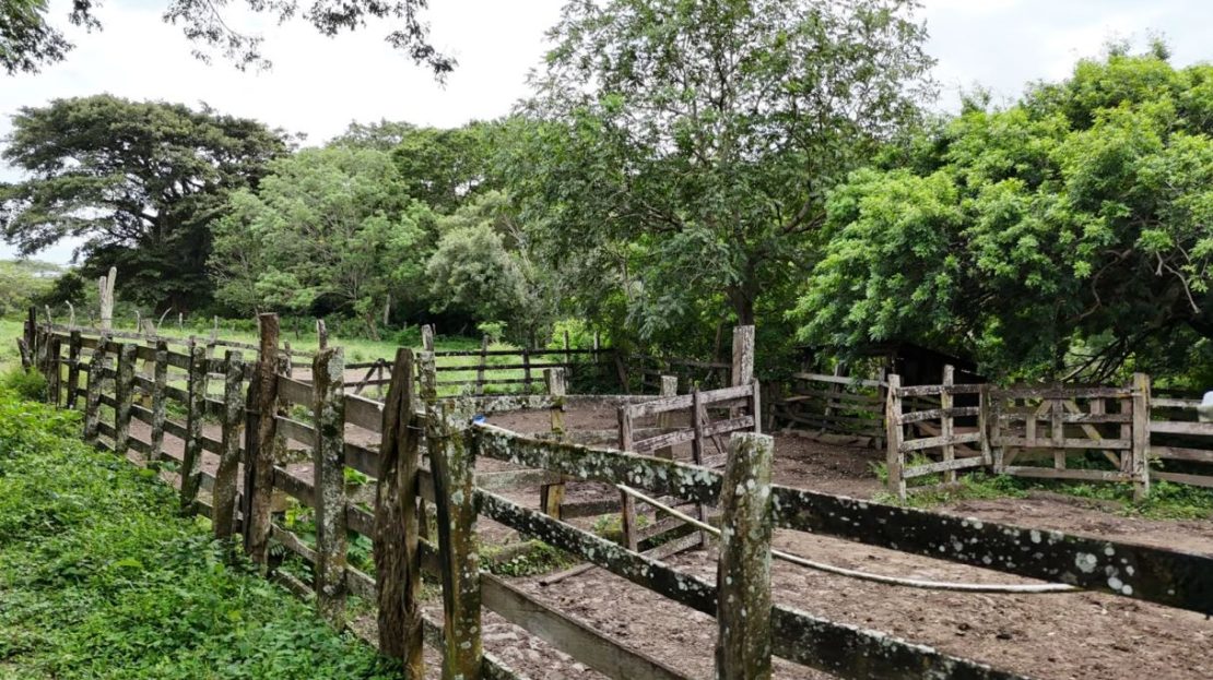 185.93-HECTARE INVESTMENT PROPERTY IN TILARÁN