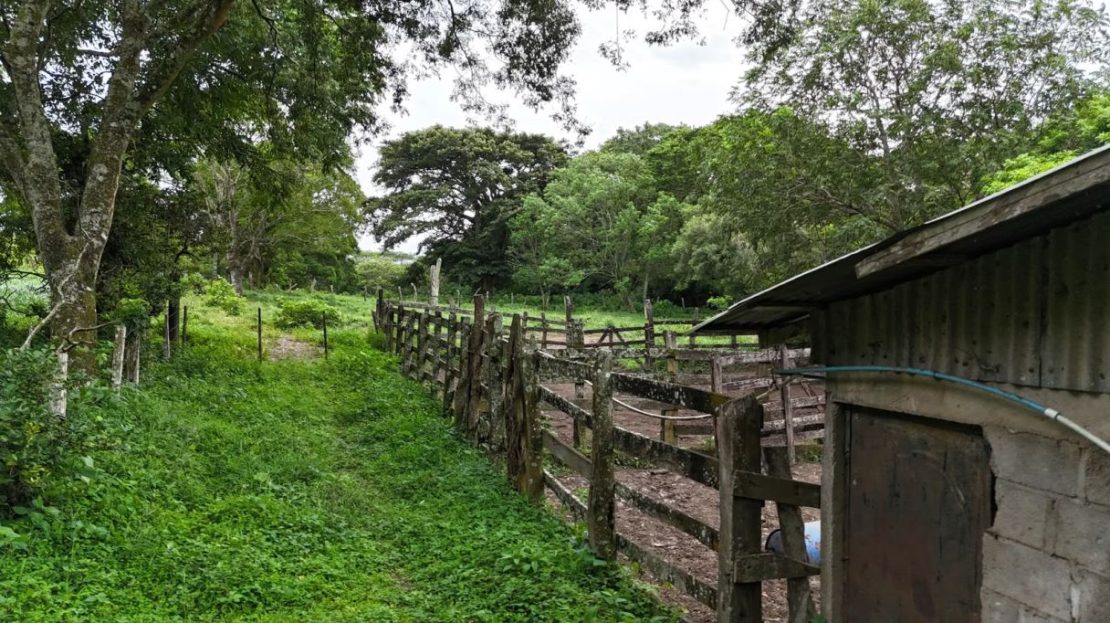 GUANACASTE