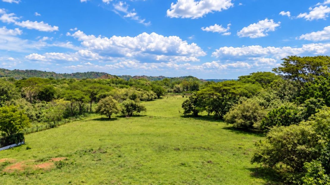 Land to Develop
