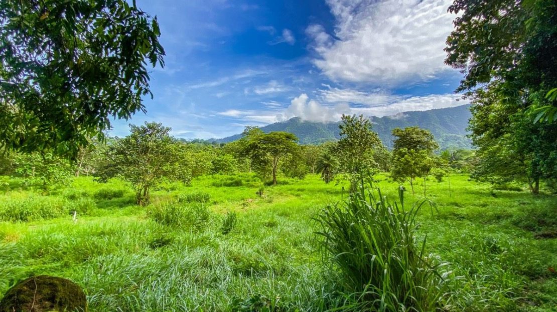 Costa Rica Real Estate