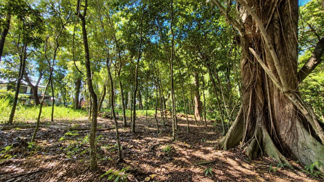 Costa Rica Real Estate