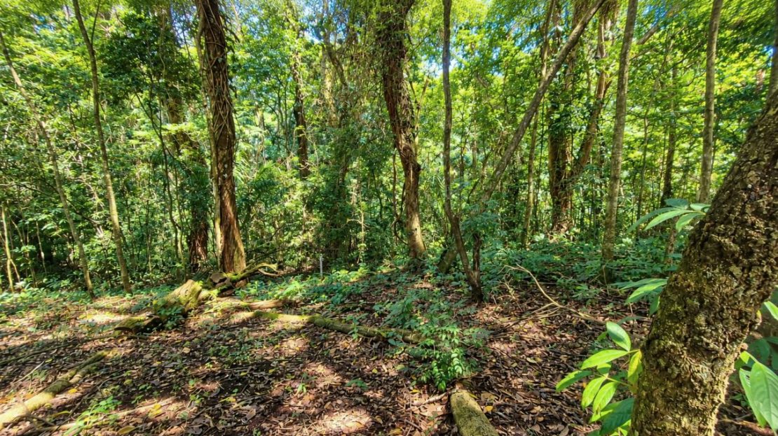 Prime Location – Buildable Lot Just 3 Minutes from Downtown Atenas