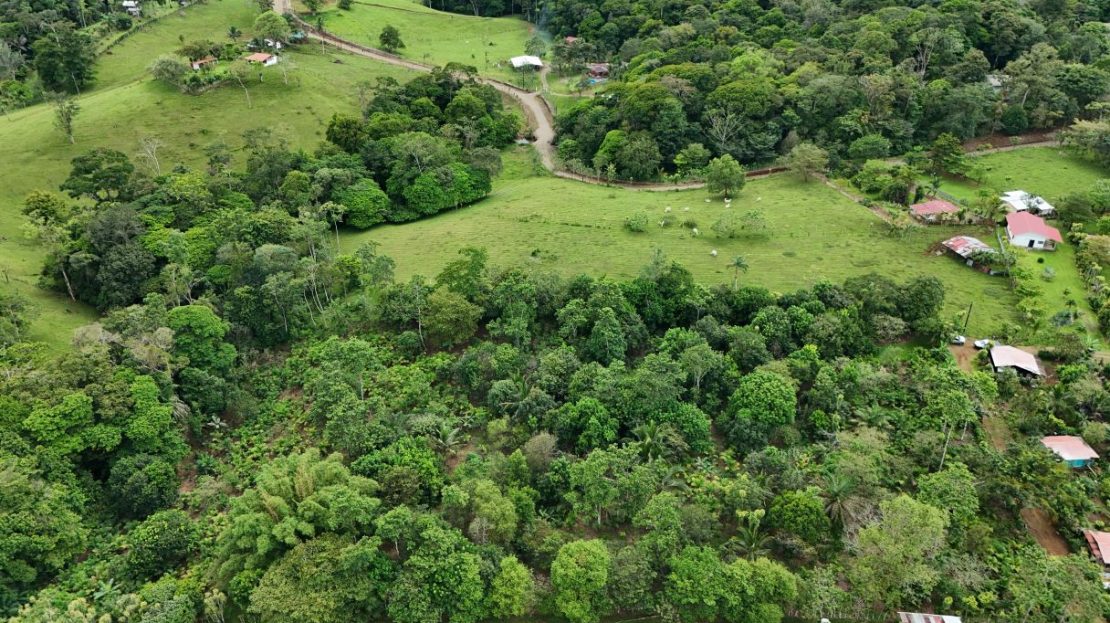 Sarapiquí