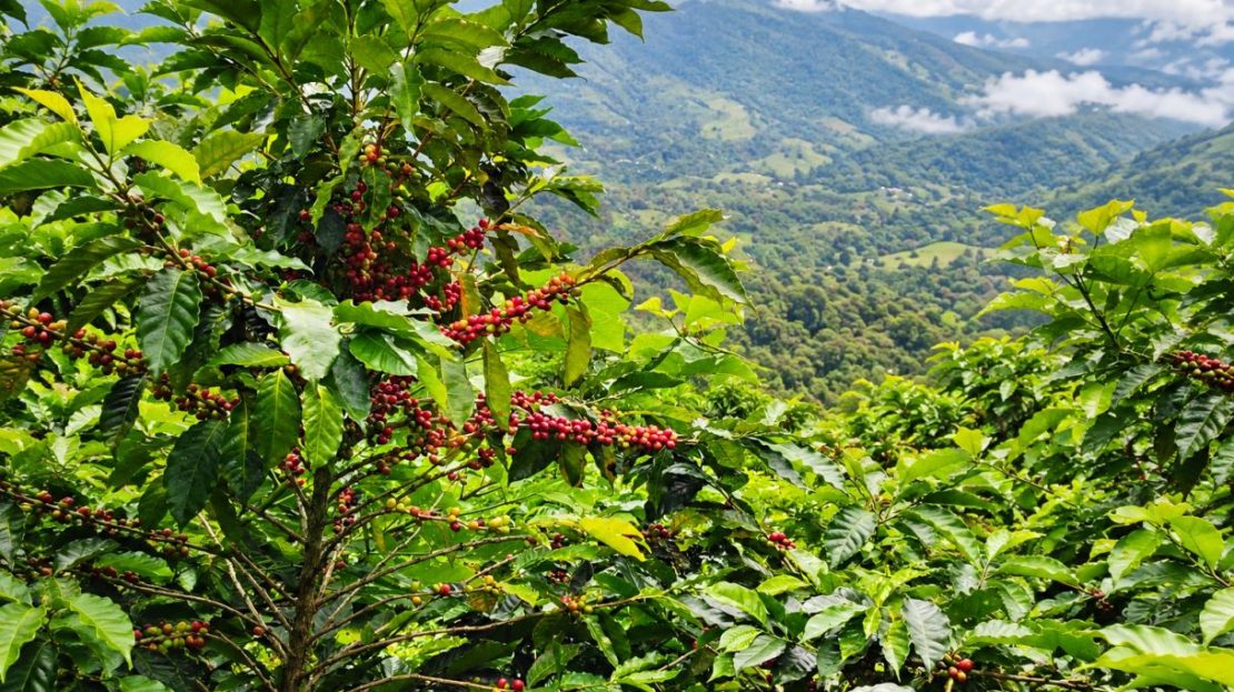 Costa Rica Real Estate