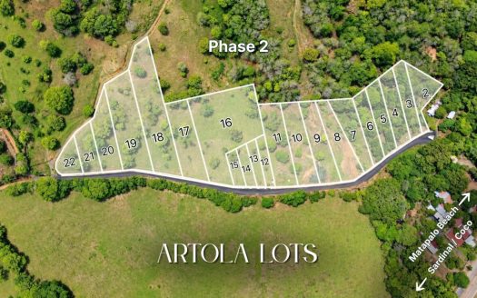 Tropical Lots Near The Coast