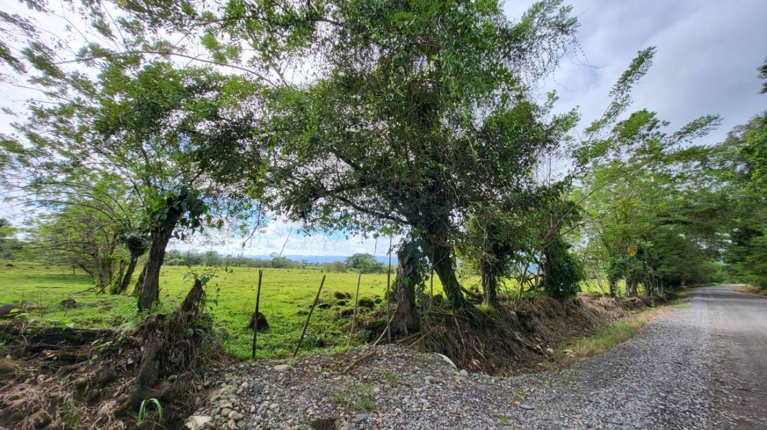 Costa Rica Real Estate