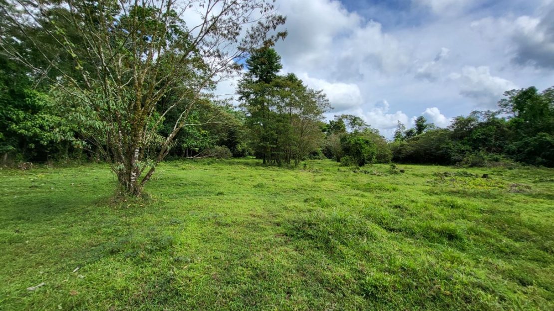 Prime 4.9-Acre Highway Frontage Land on Route 4 – Commercial