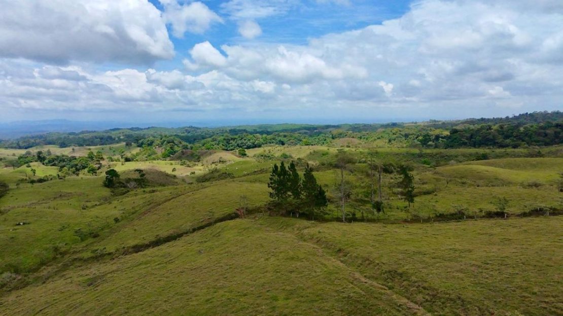 Sarapiqui