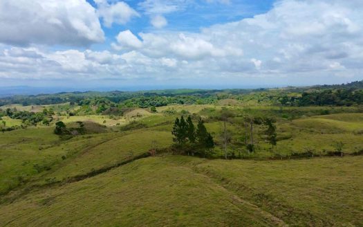 629-Hectare Cattle Ranch in Sarapiquí