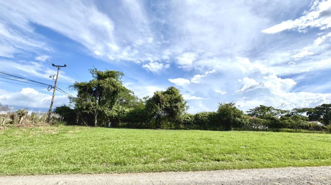 Land for rent near Coyol Free Trade Zone