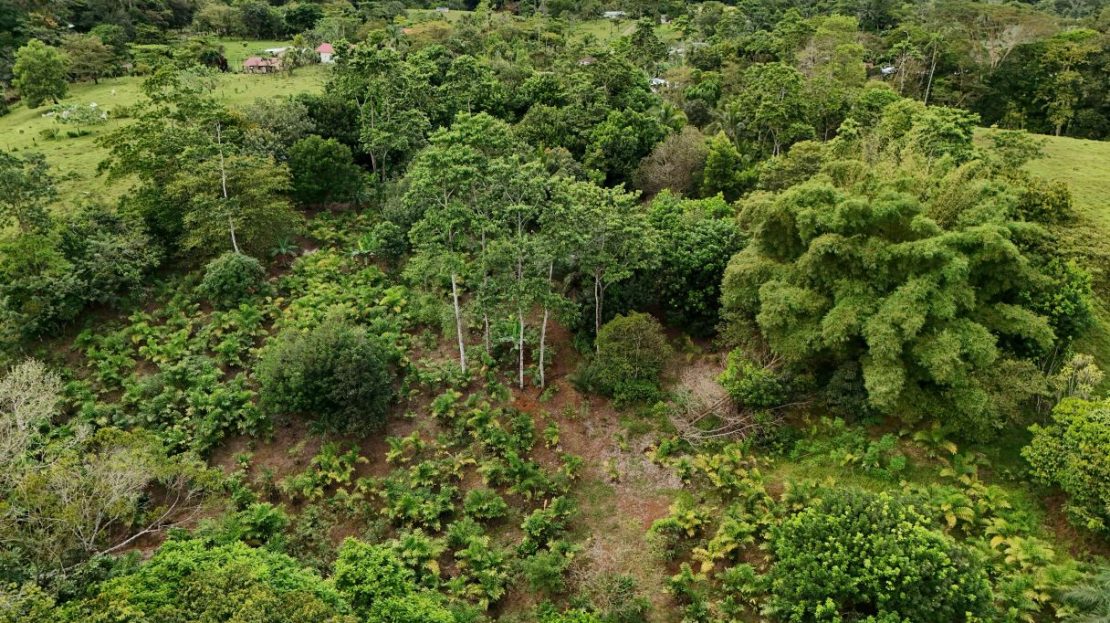 4.02-Acre Property with Small River and Fruit Trees in La Virgen