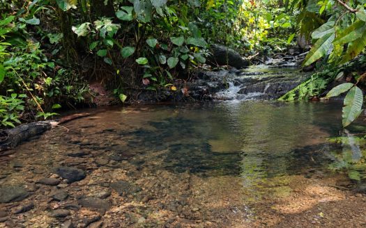 Off-Grid Rainforest Sanctuary – Ultimate Privacy, Wildlife & Nature Near Manuel Antonio, Costa Rica