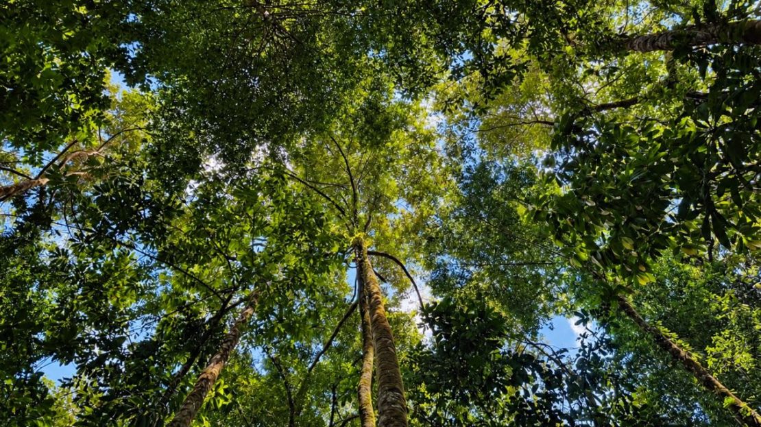 Costa Rica Real Estate