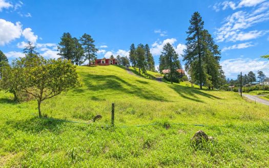 Create Your Dream Home or Airbnb Retreat – 5,936 m² for sale in Ciudad Quesada