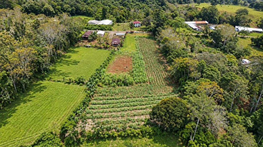 Prime Buildable Land for sale in Chachagua – 6
