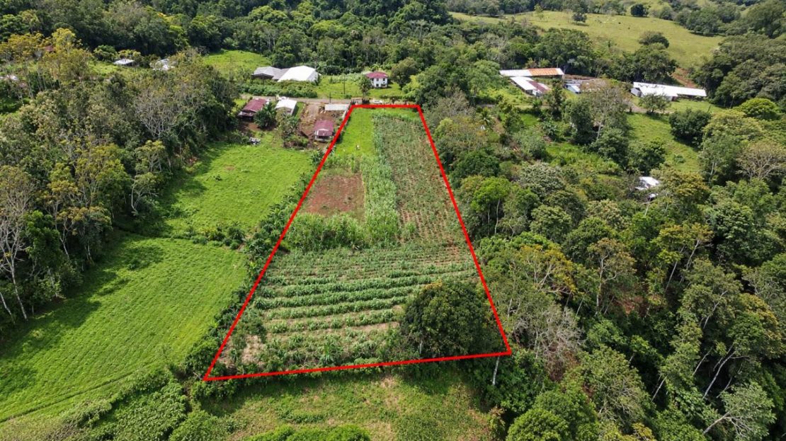 San Carlos -  La Fortuna