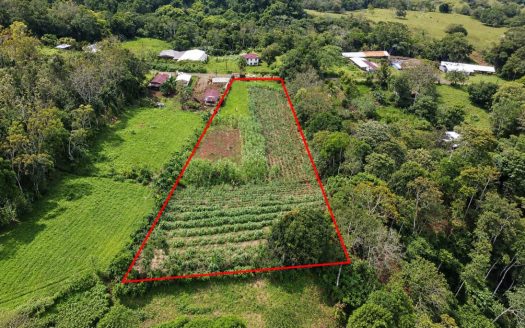 Prime Buildable Land for sale in Chachagua – 6,988 m²