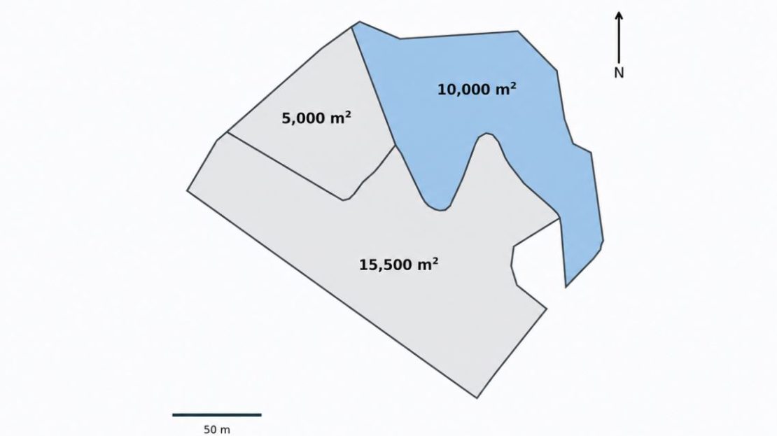 One Hectare in Las Vegas de Costa Rica