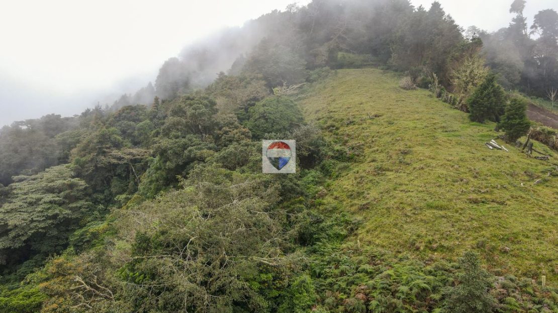 6.8 ha Cloud Forest Farm for Sale in Zarcero