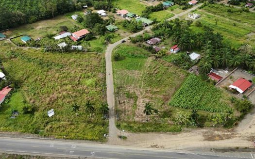 Two 2-Acre Lots for Commercial or Residential Development in Quepos