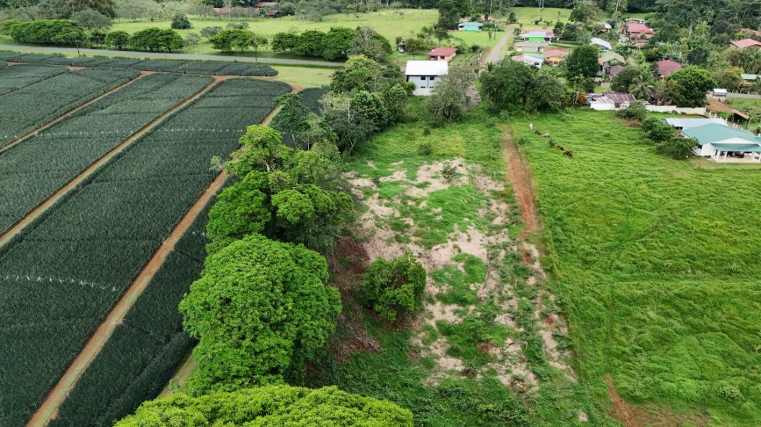 Costa Rica Real Estate