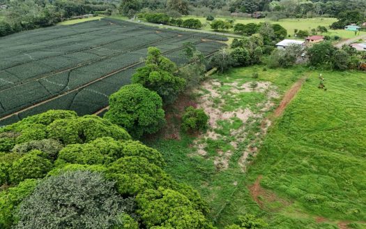Unbeatable Value: 1.23-Acre Lot in La Virgen de Sarapiquí – 50m from Route 126 with Full Utilities