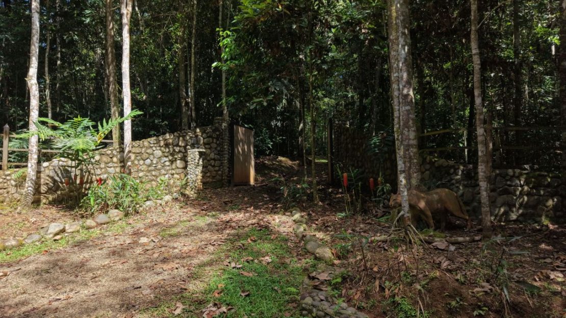 Costa Rica Real Estate