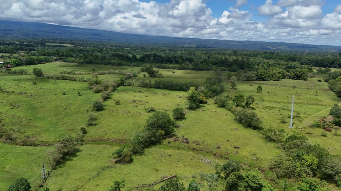 Sarapiqui