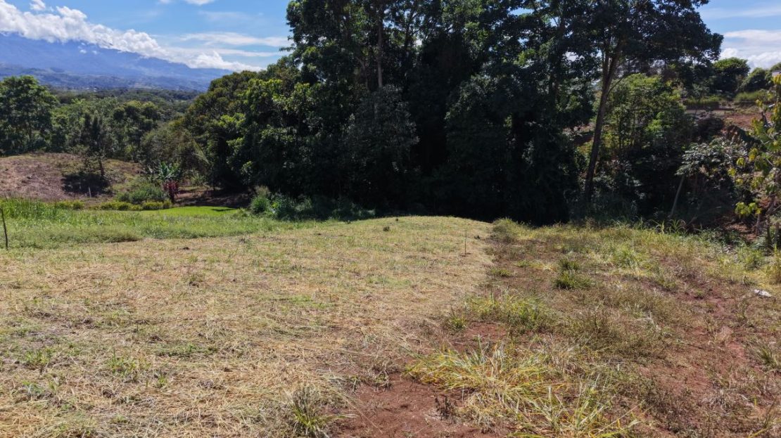 Costa Rica Real Estate