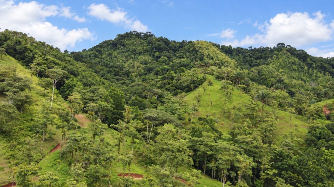Costa Rica Real Estate