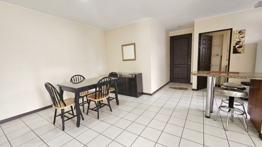 INVESTMENT OPPORTUNITY IN SABANA! Furnished apartment