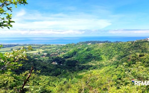 Hermosa Falls Estates – Exclusive Ocean View Lots in Costa Rica