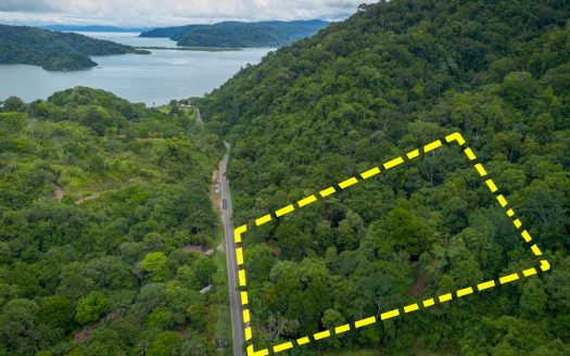 DREAM PROPERTY IN GOLFITO! FARM WITH OCEAN VIEWS & PRIVATE WATER SOURCE