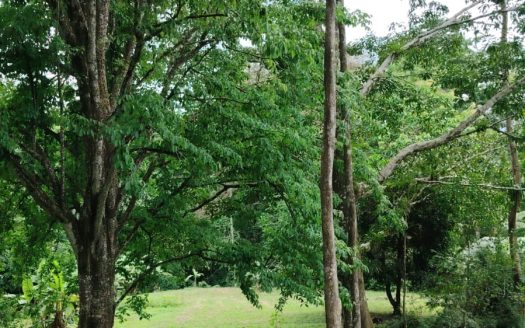 Golfito>Pavones Real Estate Listings 32825