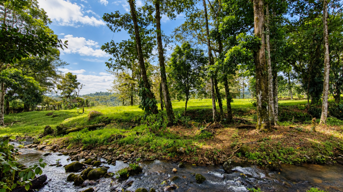 Guápiles - Pococí For Sale 1362 | RE/MAX Costa Rica Real Estate